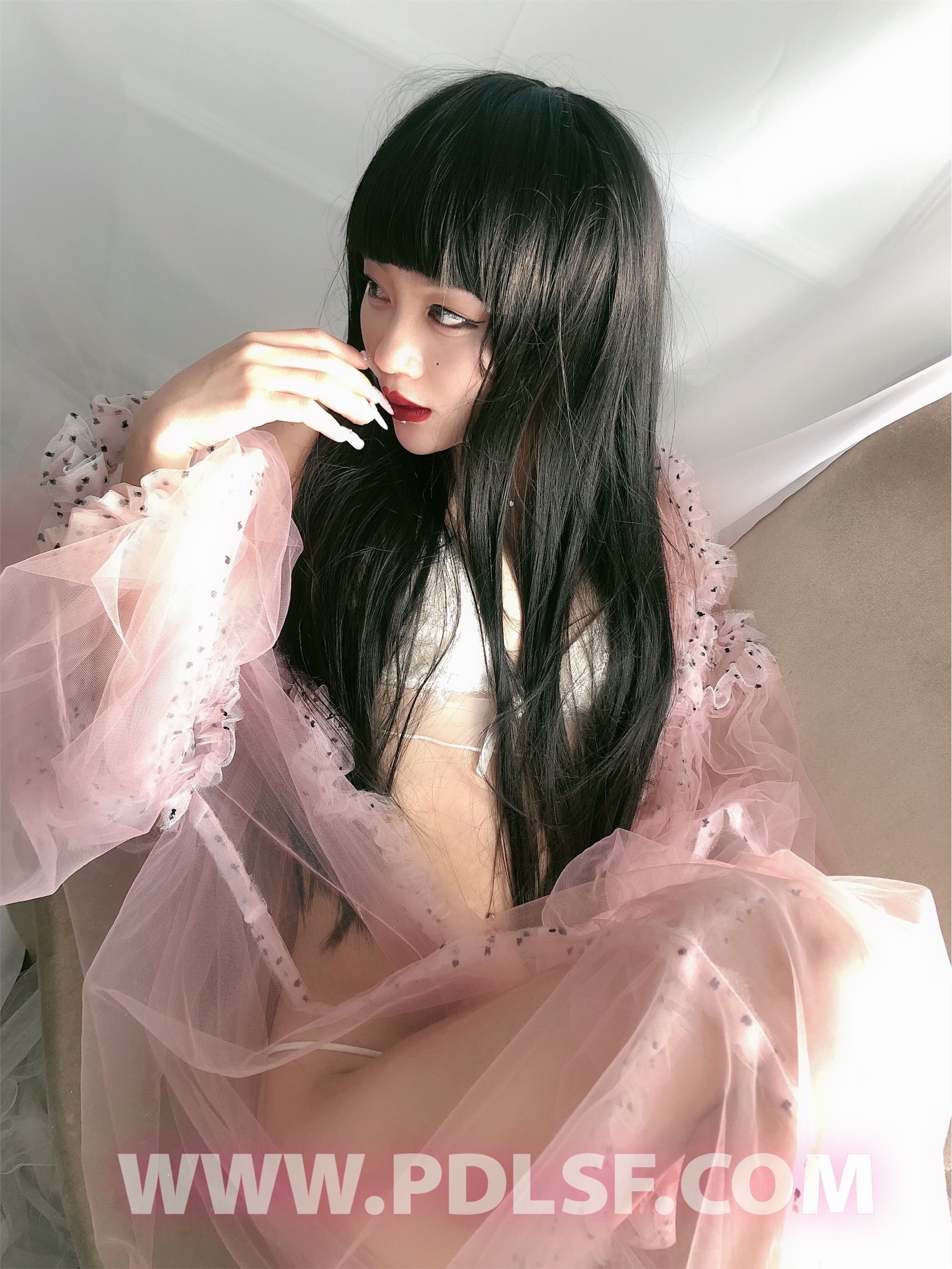 PDL潘多拉 2020.02.03 专辑No.275